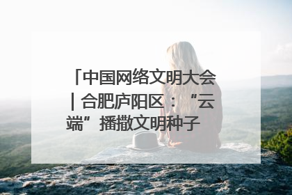 中国网络文明大会｜合肥庐阳区：“云端”播撒文明种子 共建清朗网络空间