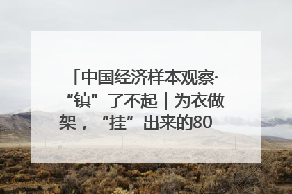 中国经济样本观察·“镇”了不起｜为衣做架，“挂”出来的80亿元“衣架产业”