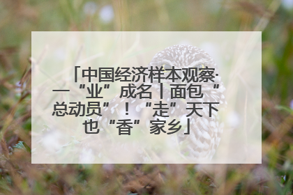 中国经济样本观察·一“业”成名丨面包“总动员”！“走”天下也“香”家乡
