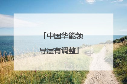 中国华能领导层有调整