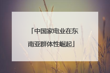 中国家电业在东南亚群体性崛起