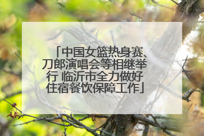 中国女篮热身赛、刀郎演唱会等相继举行 临沂市全力做好住宿餐饮保障工作