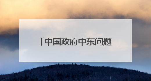 中国政府中东问题特使翟隽访问埃及