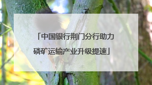 中国银行荆门分行助力磷矿运输产业升级提速