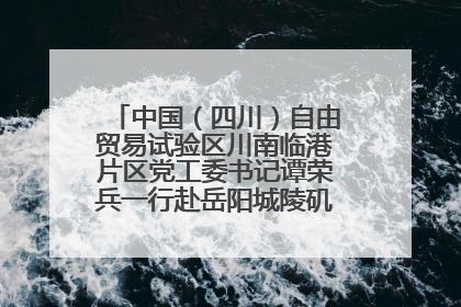 中国（四川）自由贸易试验区川南临港片区党工委书记谭荣兵一行赴岳阳城陵矶综保区考察