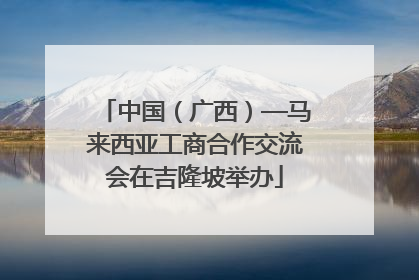 中国（广西）—马来西亚工商合作交流会在吉隆坡举办