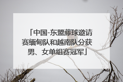 中国-东盟藤球邀请赛缅甸队和越南队分获男、女单组赛冠军