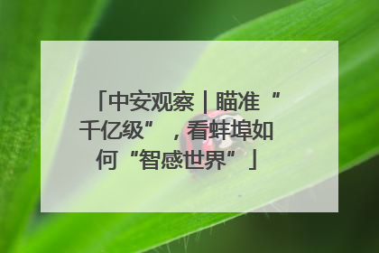 中安观察｜瞄准“千亿级”，看蚌埠如何“智感世界”