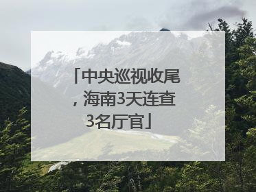 中央巡视收尾，海南3天连查3名厅官