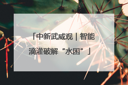 中新武威观｜智能滴灌破解“水困”
