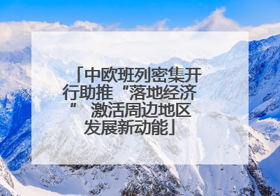 中欧班列密集开行助推“落地经济” 激活周边地区发展新动能