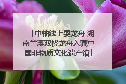 中轴线上耍龙舟 湖南兰溪双桡龙舟入藏中国非物质文化遗产馆