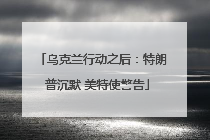 乌克兰行动之后：特朗普沉默 美特使警告