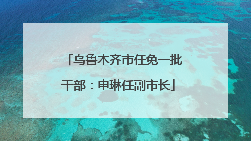 乌鲁木齐市任免一批干部：申琳任副市长