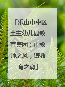 乐山市中区土主幼儿园教育集团：正教师之风，铸教育之魂