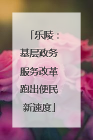 乐陵：基层政务服务改革跑出便民新速度