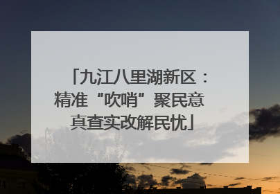 九江八里湖新区：精准“吹哨”聚民意 真查实改解民忧