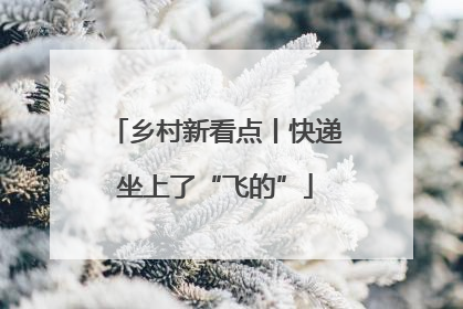 乡村新看点丨快递坐上了“飞的”