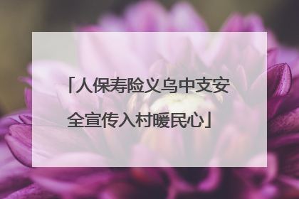人保寿险义乌中支安全宣传入村暖民心