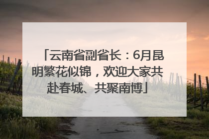 云南省副省长：6月昆明繁花似锦，欢迎大家共赴春城、共聚南博