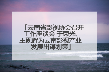 云南省影视协会召开工作座谈会 于荣光、王砚辉为云南影视产业发展出谋划策
