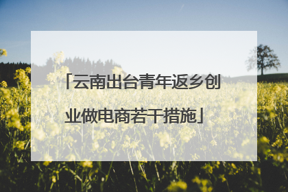 云南出台青年返乡创业做电商若干措施