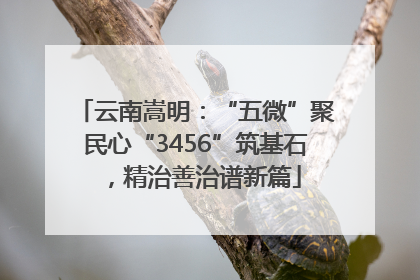 云南嵩明：“五微”聚民心“3456”筑基石，精治善治谱新篇
