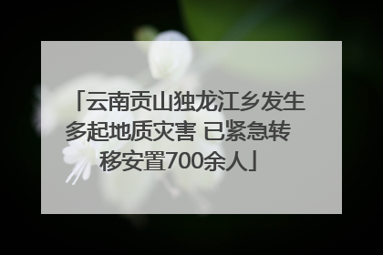 云南贡山独龙江乡发生多起地质灾害 已紧急转移安置700余人