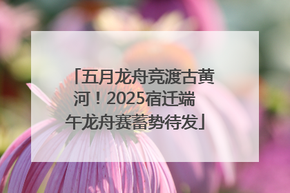 五月龙舟竞渡古黄河！2025宿迁端午龙舟赛蓄势待发