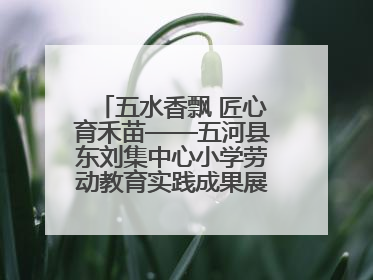 五水香飘 匠心育禾苗——五河县东刘集中心小学劳动教育实践成果展暨夏集小学首届美食节盛大举行