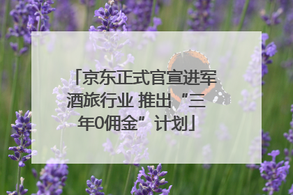 京东正式官宣进军酒旅行业 推出“三年0佣金”计划