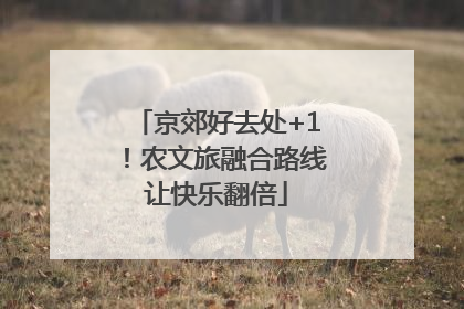 京郊好去处+1！农文旅融合路线让快乐翻倍