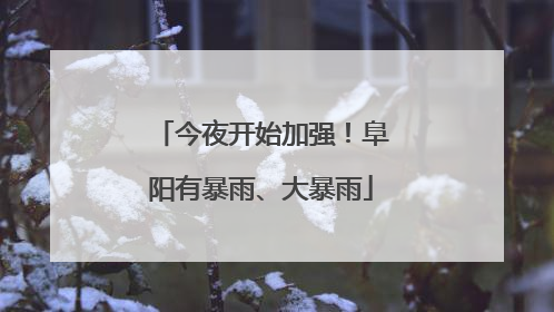 今夜开始加强！阜阳有暴雨、大暴雨