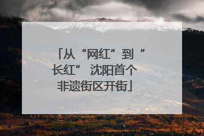 从“网红”到“长红” 沈阳首个非遗街区开街
