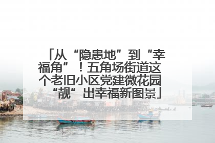 从“隐患地”到“幸福角”！五角场街道这个老旧小区党建微花园“靓”出幸福新图景