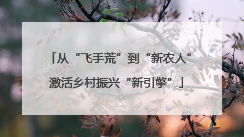 从“飞手荒”到“新农人” 激活乡村振兴“新引擎”
