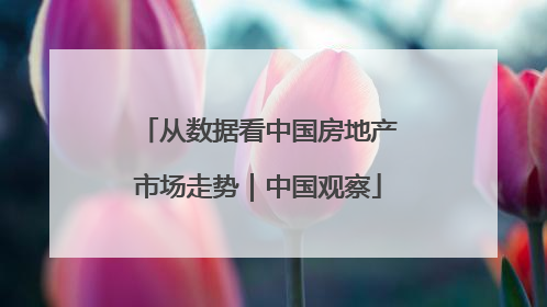 从数据看中国房地产市场走势｜中国观察