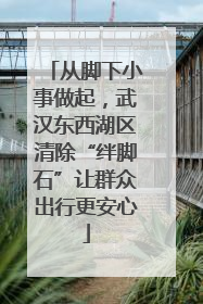 从脚下小事做起，武汉东西湖区清除“绊脚石”让群众出行更安心