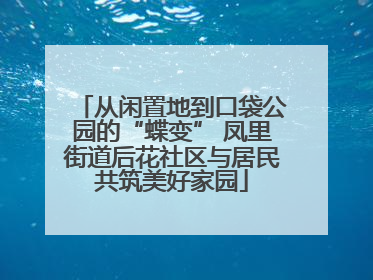 从闲置地到口袋公园的“蝶变” 凤里街道后花社区与居民共筑美好家园