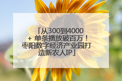 从300到4000+ 单条播放破百万！枣阳数字经济产业园打造新农人IP