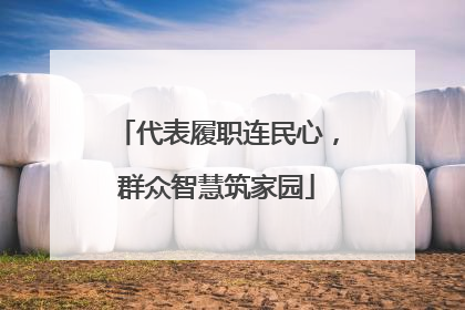 代表履职连民心，群众智慧筑家园