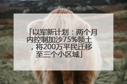 以军新计划：两个月内控制加沙75%领土，将200万平民迁移至三个小区域