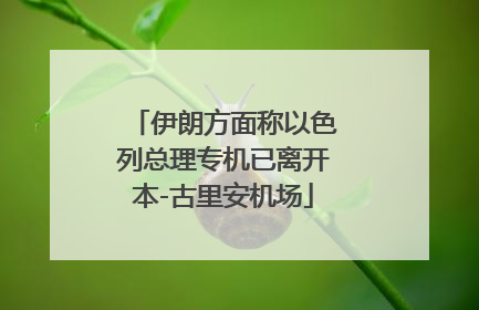 伊朗方面称以色列总理专机已离开本-古里安机场