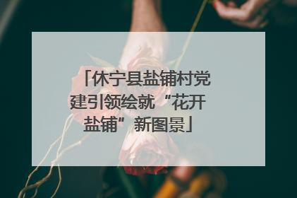 休宁县盐铺村党建引领绘就“花开盐铺”新图景