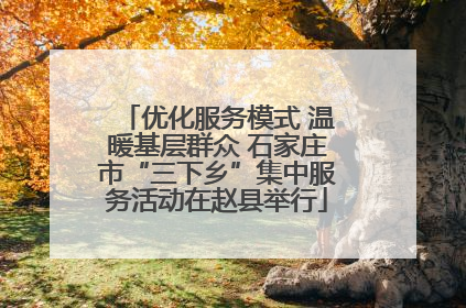优化服务模式 温暖基层群众 石家庄市“三下乡”集中服务活动在赵县举行