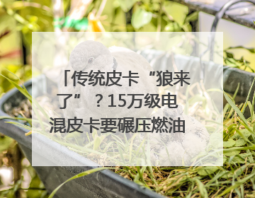 传统皮卡“狼来了”？15万级电混皮卡要碾压燃油车｜汽车风云