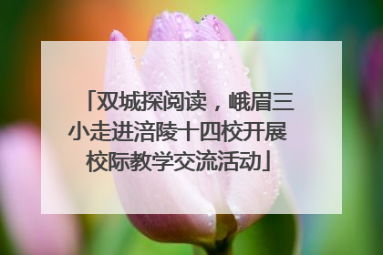 双城探阅读，峨眉三小走进涪陵十四校开展校际教学交流活动