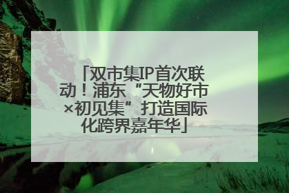 双市集IP首次联动！浦东“天物好市×初见集”打造国际化跨界嘉年华