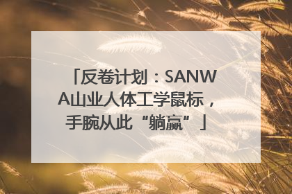 反卷计划：SANWA山业人体工学鼠标，手腕从此“躺赢”