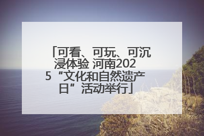 可看、可玩、可沉浸体验 河南2025“文化和自然遗产日”活动举行